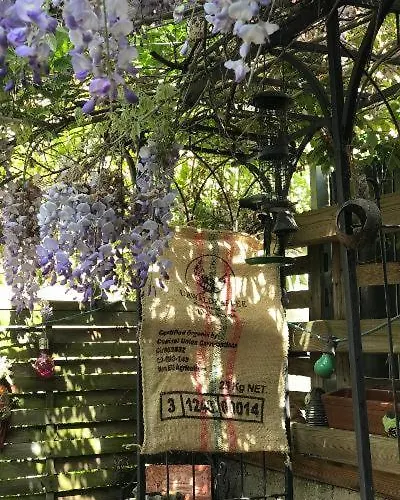 Apartmán Kamoro Trevír